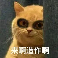 slot pulsa indosat Shi Yufeng meminta pepaya untuk memasak sup dan mengirimkannya kepadanya secara pribadi